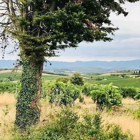Coeur De Roses, & D'hotes Bed & Breakfast